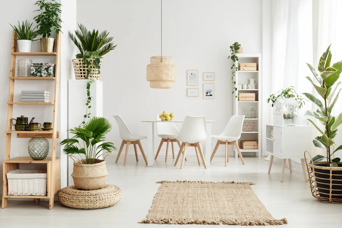 plants-in-home